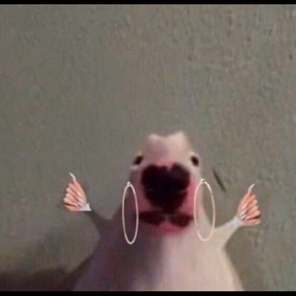 Meet your Posher, Joshua - Picture 1 of 1